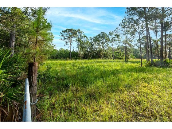 Perfect for Sprawling Ranch with Horses or Anything Else You Desire! - Vacant Land for sale at 6405 217th St E, Bradenton, FL 34211 - MLS Number is A4511593