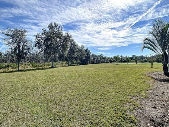 Back View - Single Family Home for sale at 407 169th Ct Ne, Bradenton, FL 34212 - MLS Number is A4519074