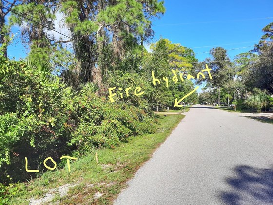 Lot looking north - fire hydrant - Vacant Land for sale at 0000 Venisota Rd, Venice, FL 34293 - MLS Number is N6119055